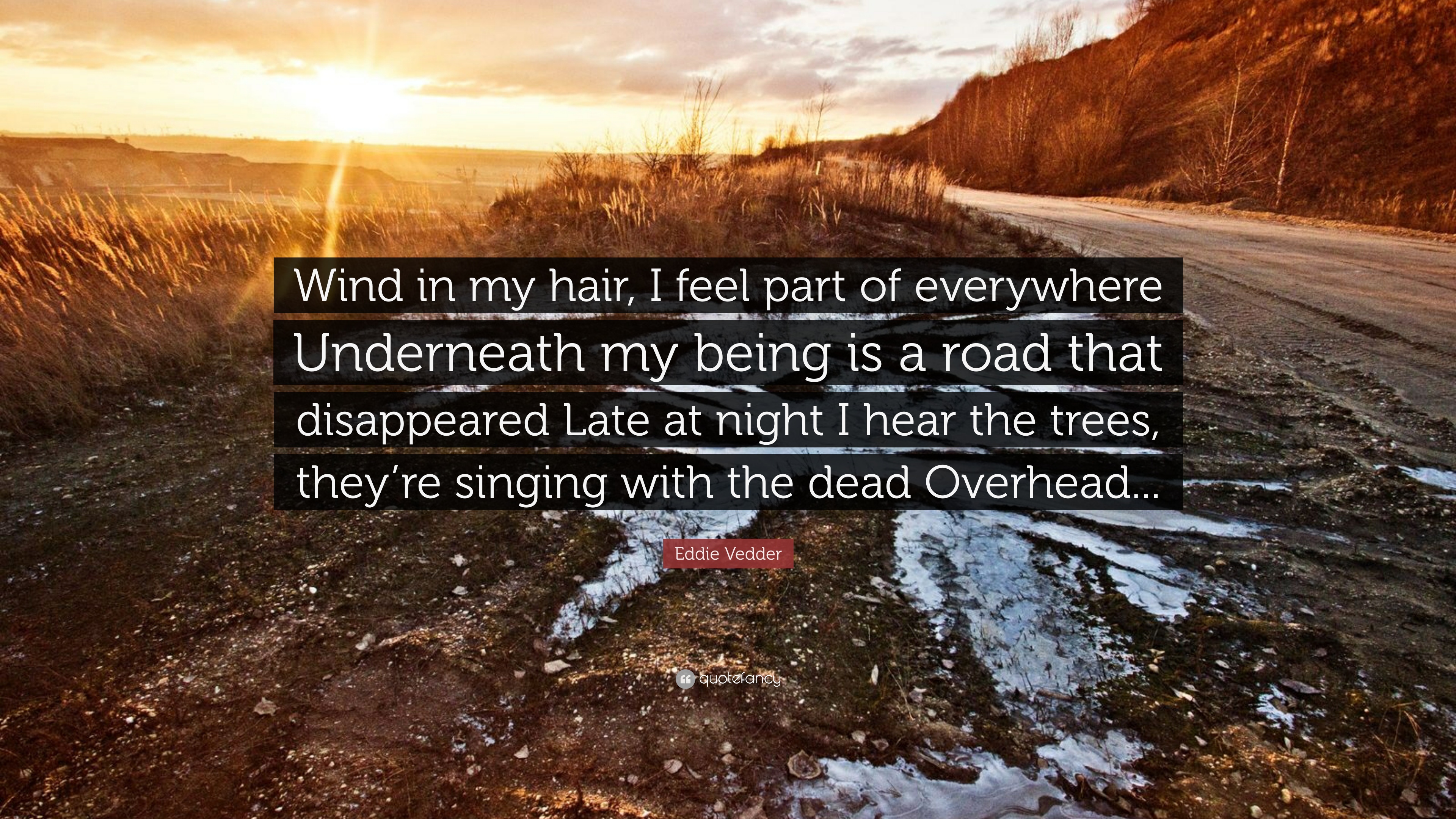 384593-Eddie-Vedder-Quote-Wind-in-my-hair-I-feel-part-of-everywhere